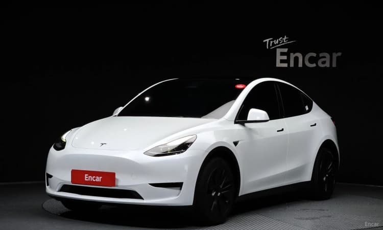 Model Y