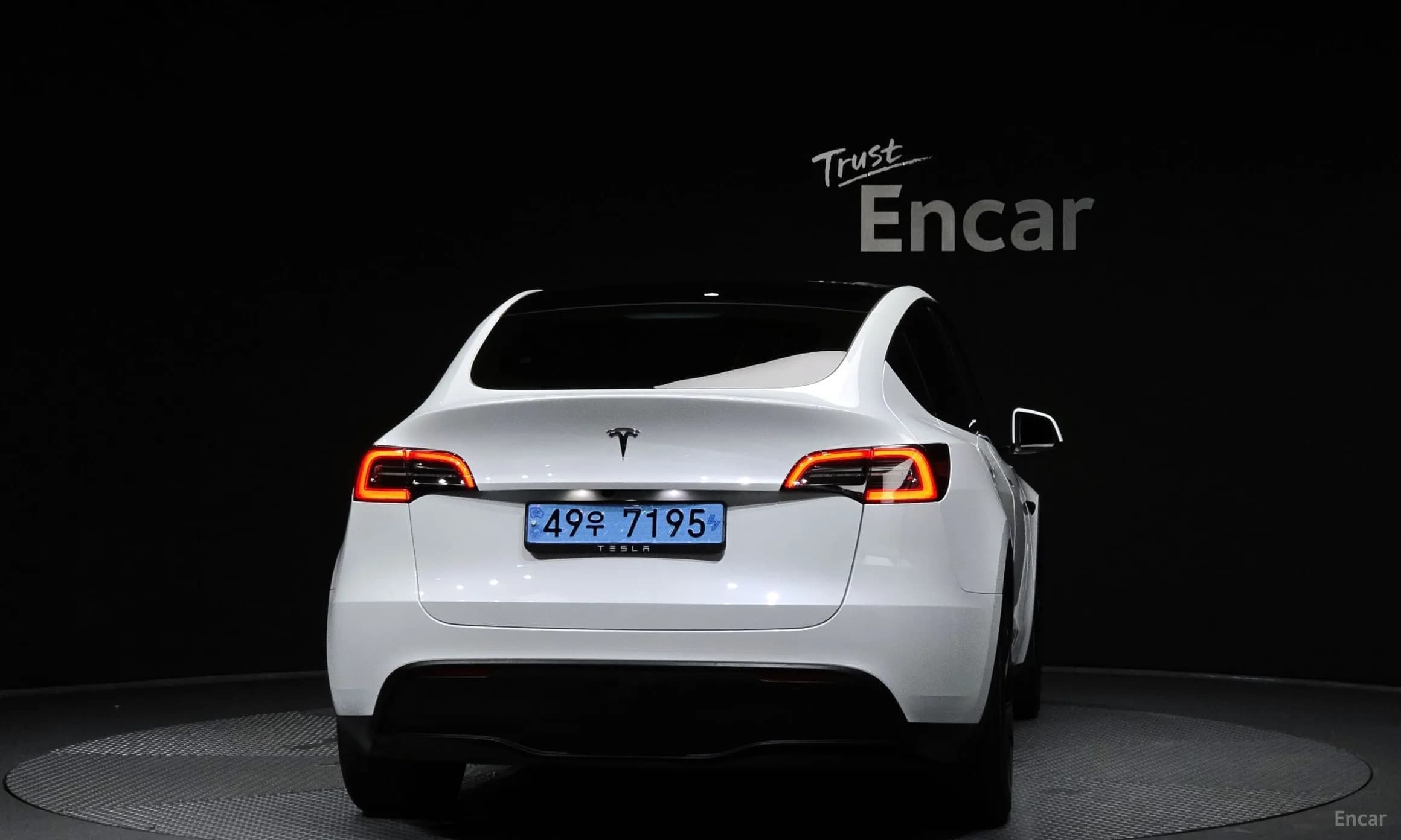 Model Y