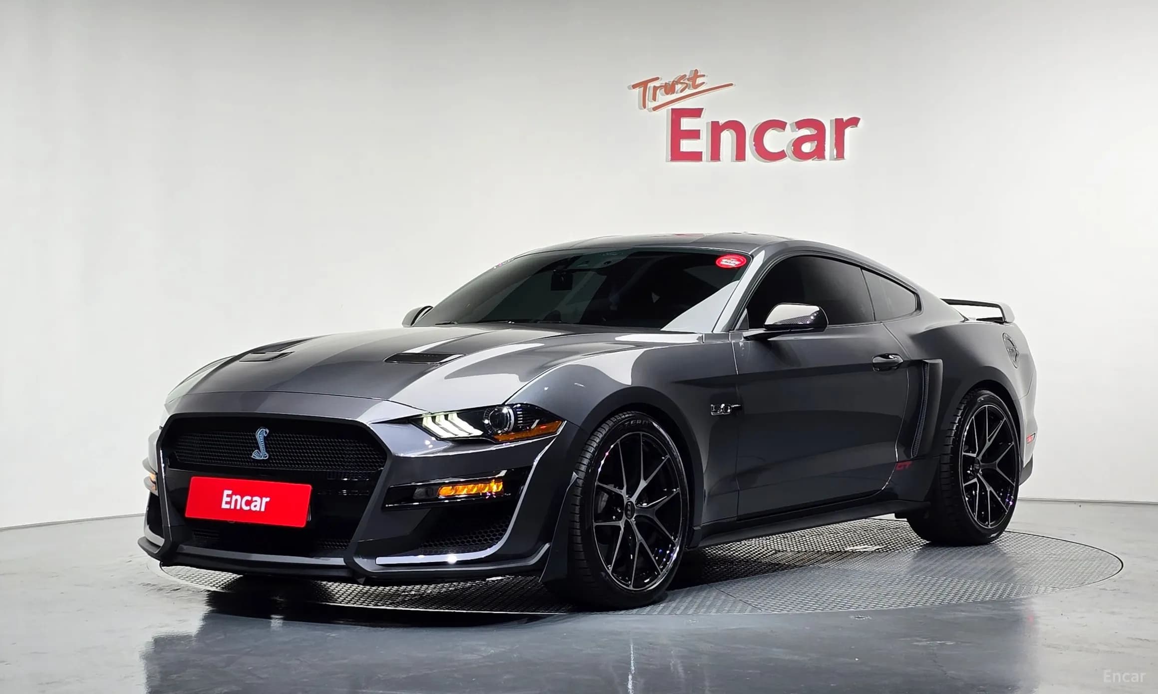 Mustang
