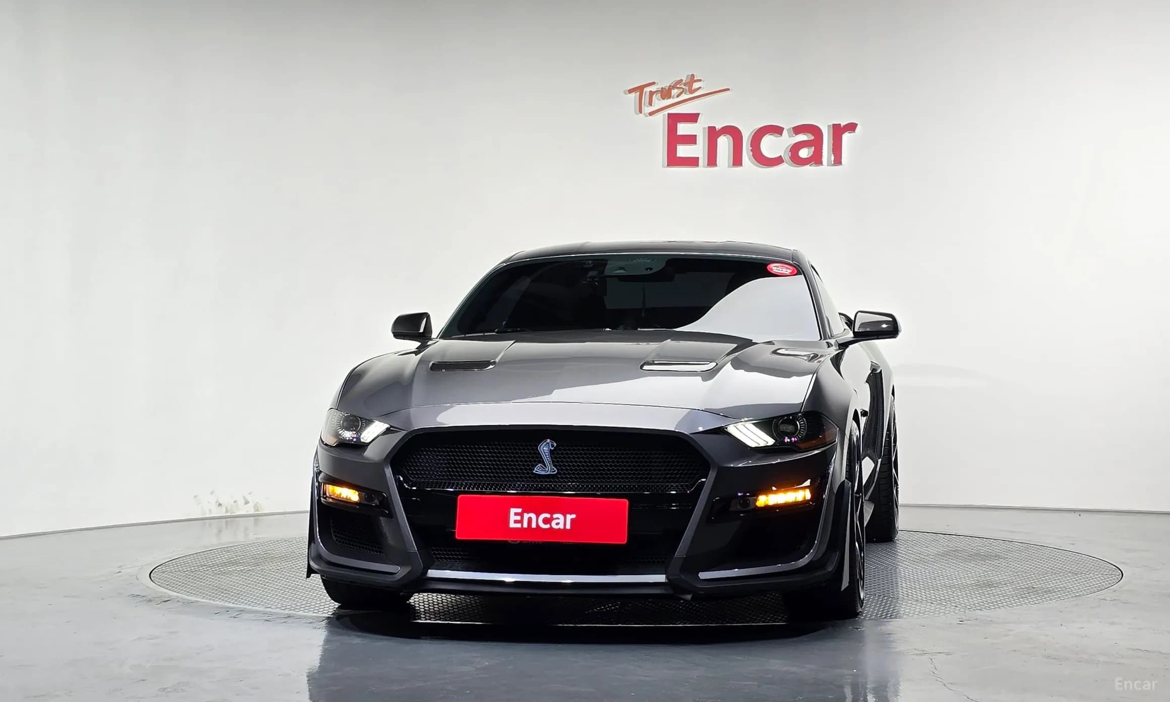 Mustang