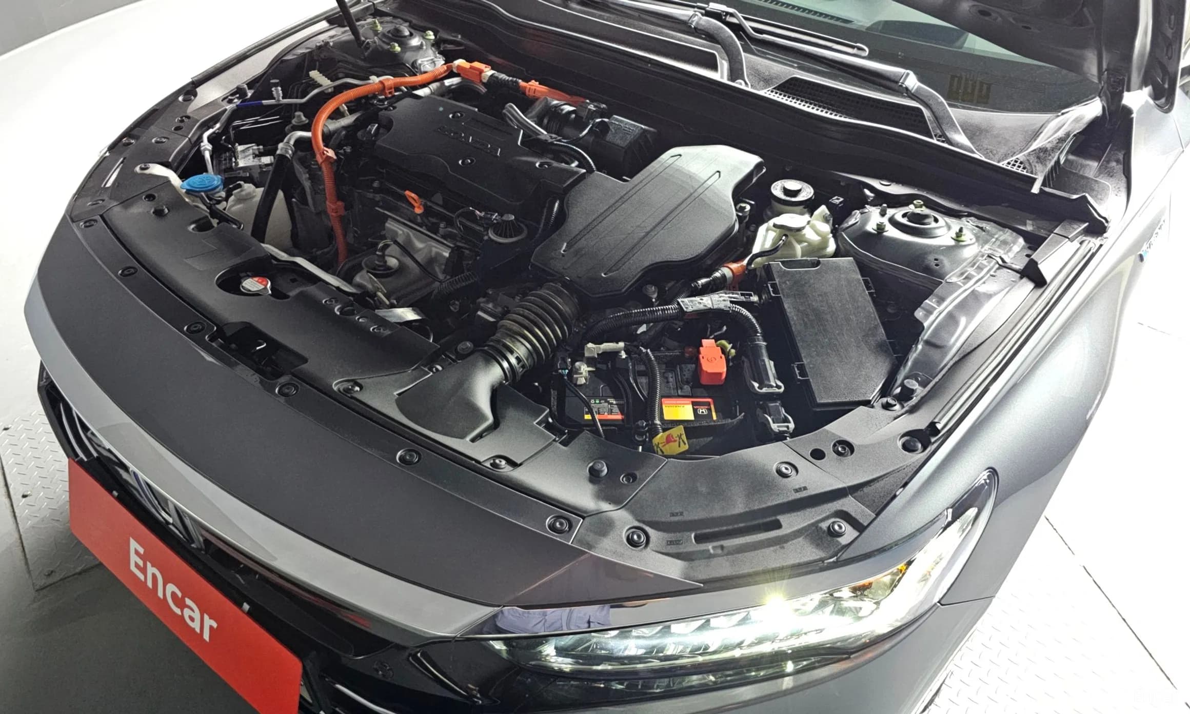 Accord 10th Generation