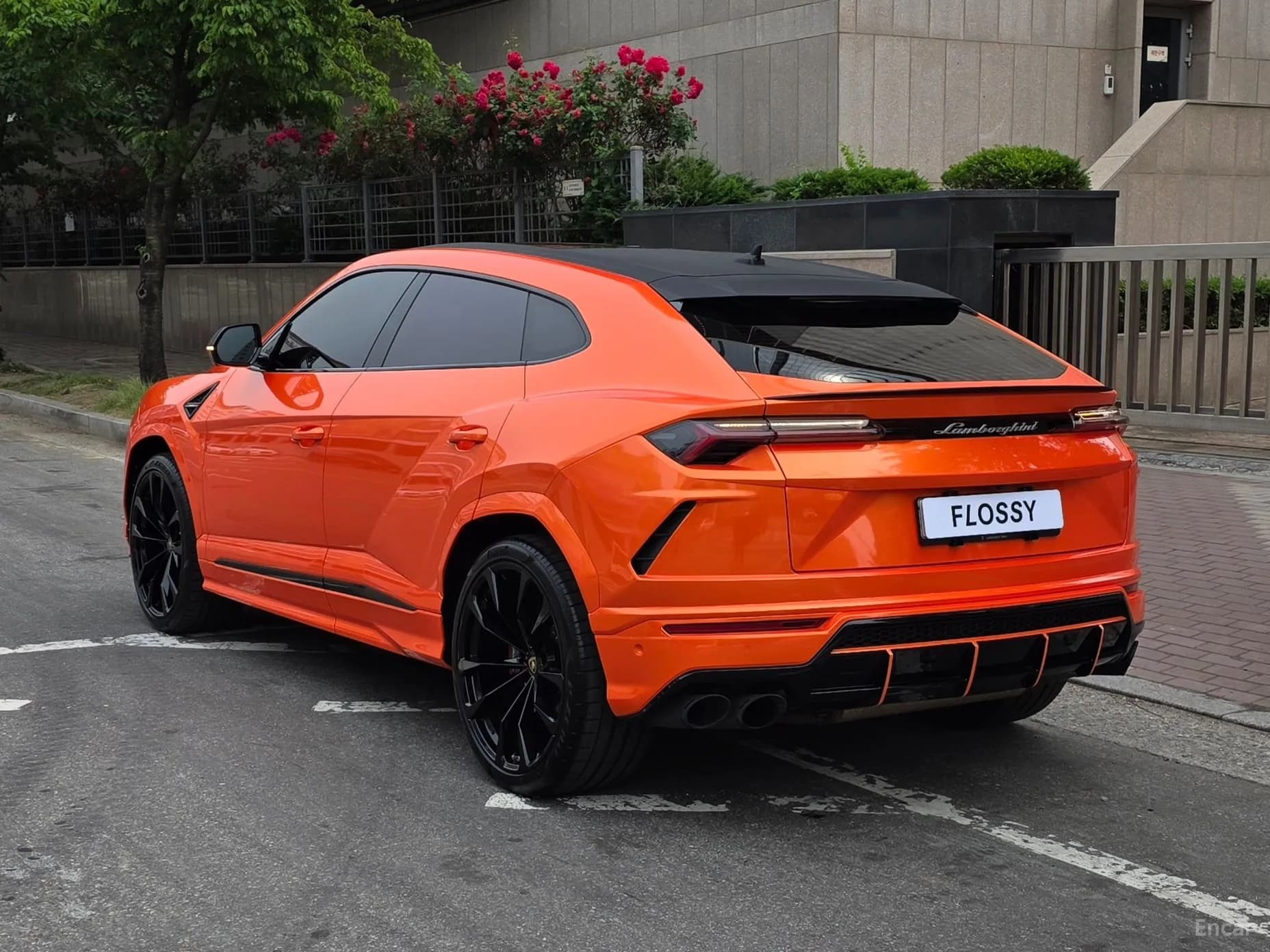Urus