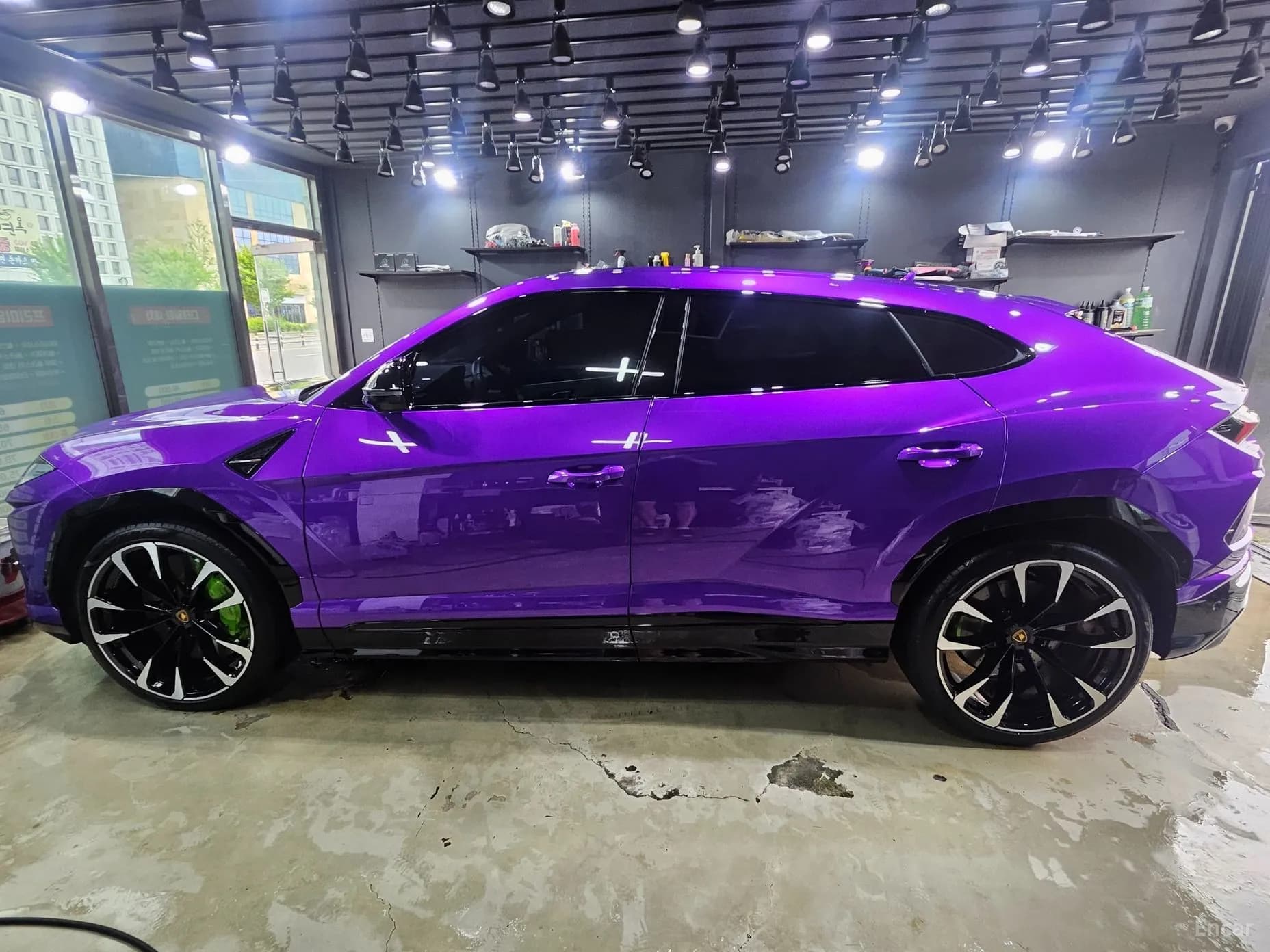 Urus