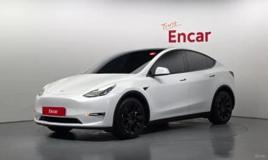 Model Y