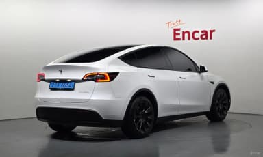 Model Y