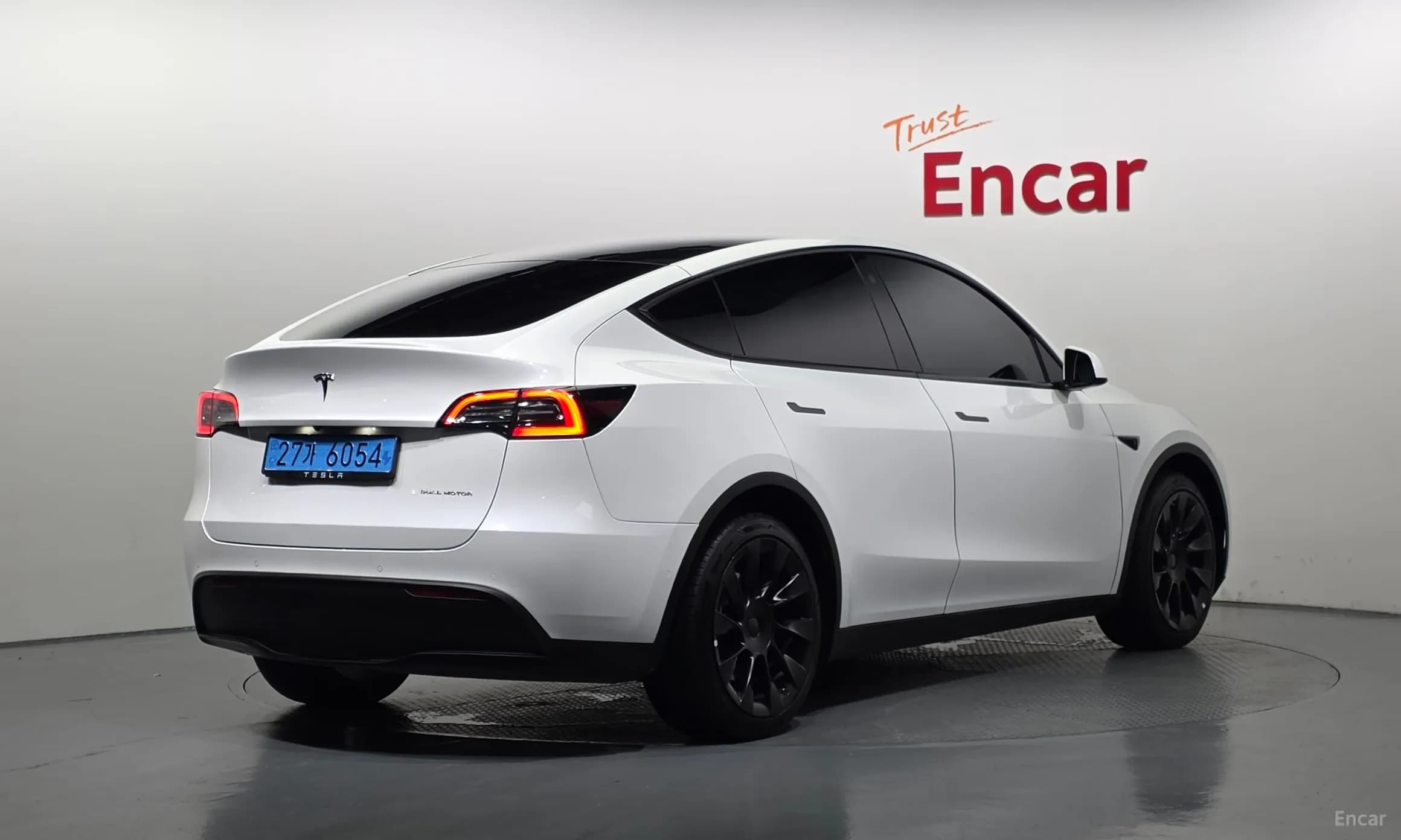 Model Y