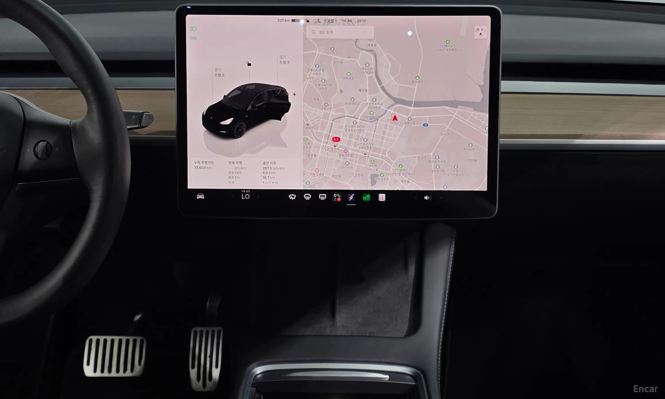 Model Y