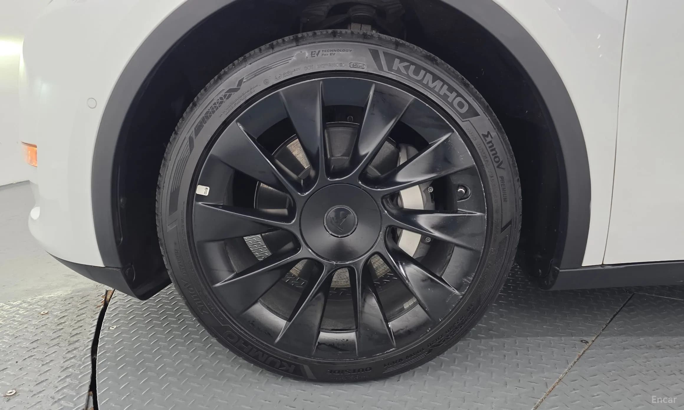 Model Y