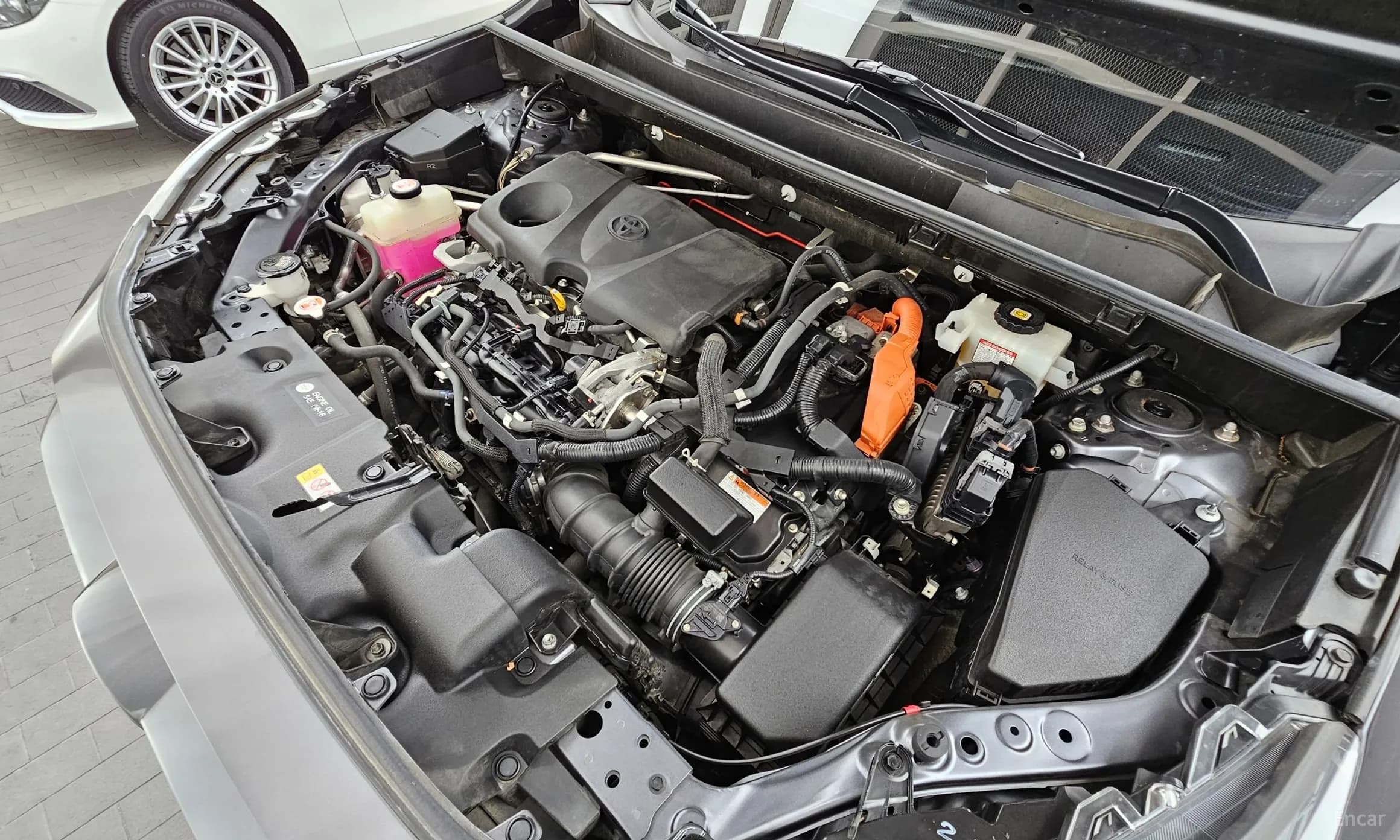 RAV4 5th Generation