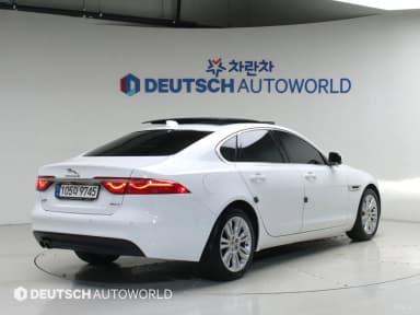 XF (x260)