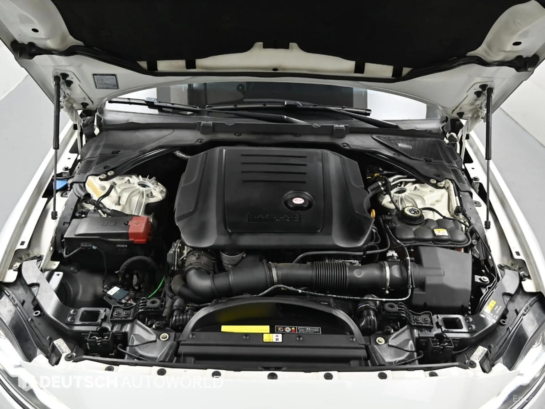 XF (x260)