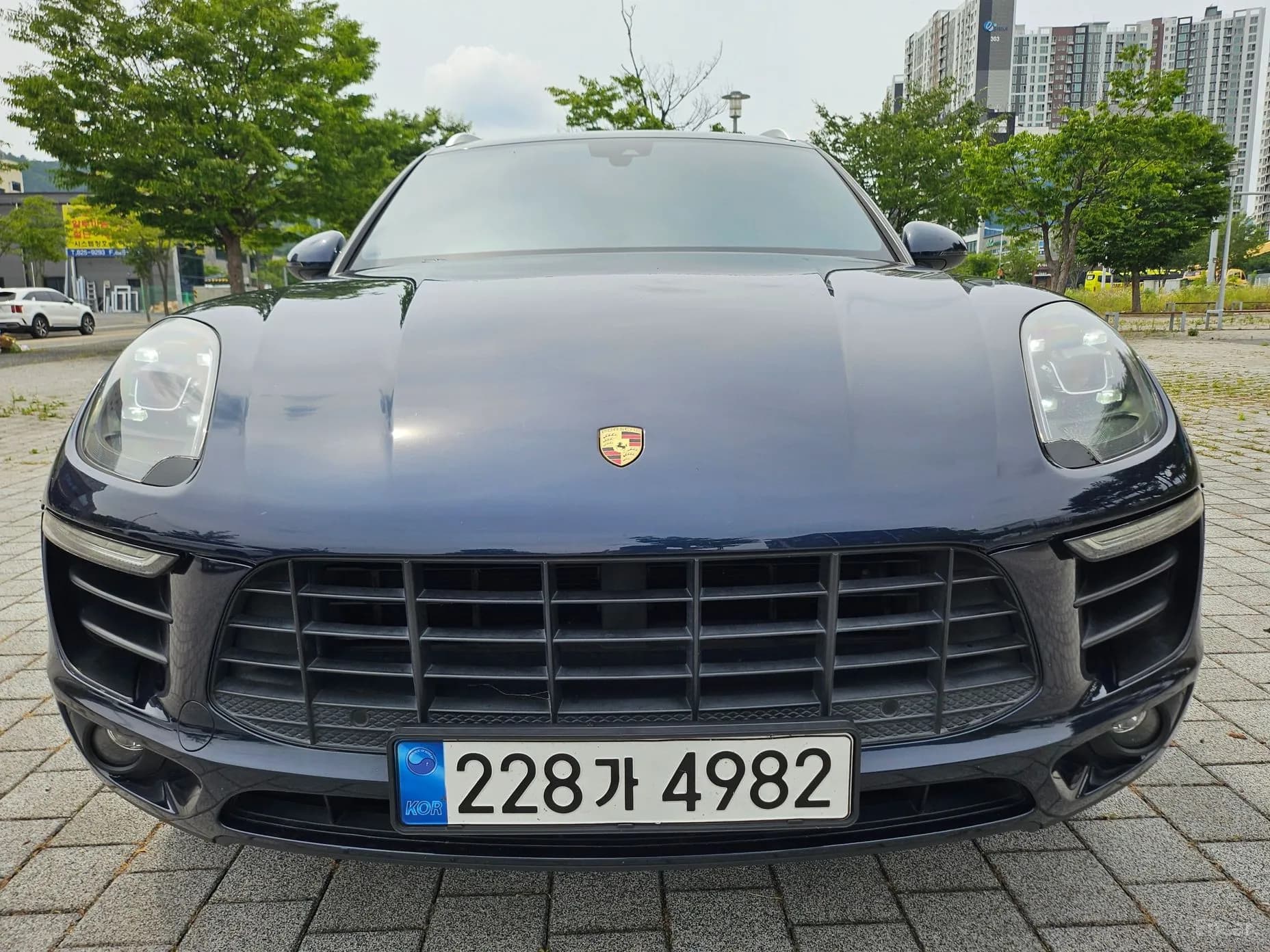 Macan
