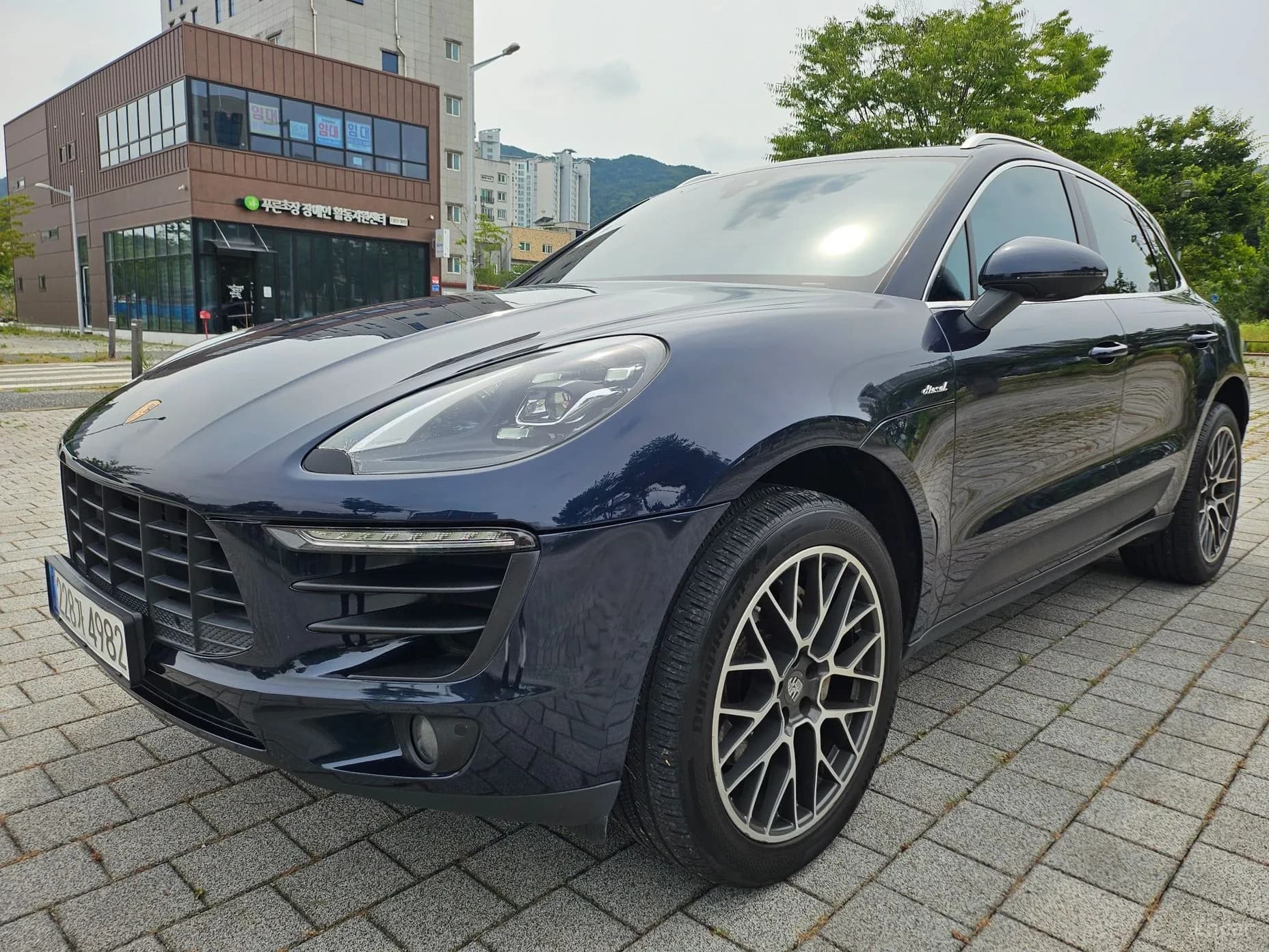 Macan