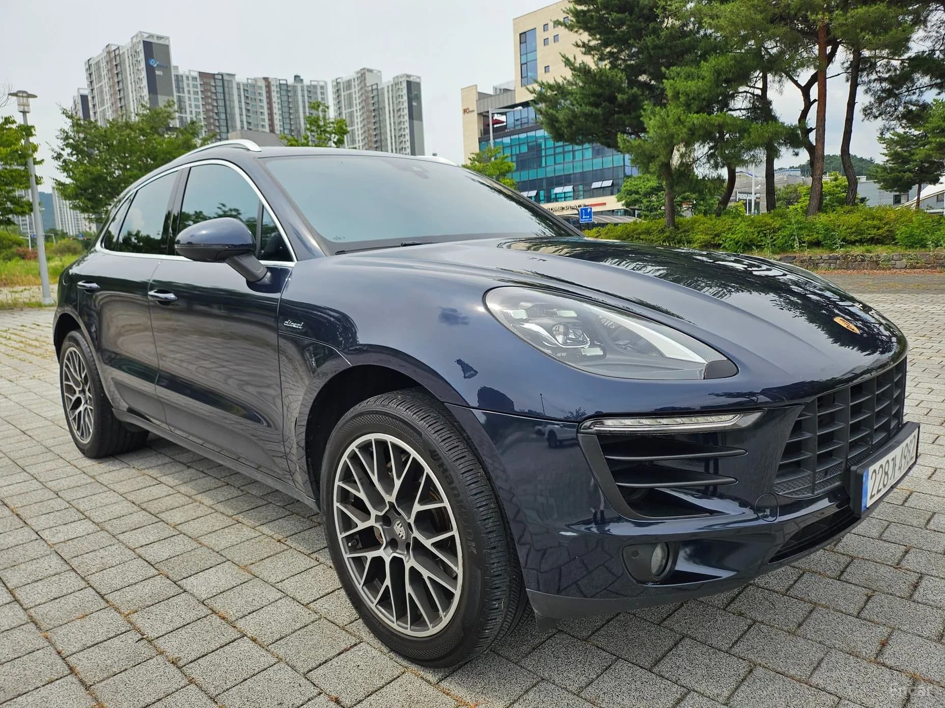 Macan