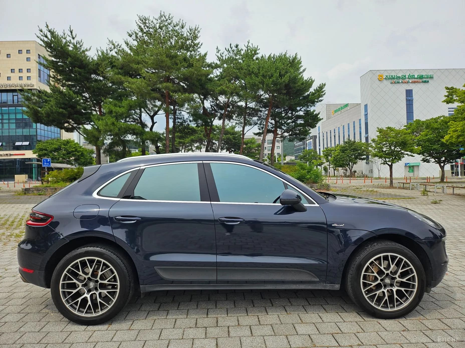 Macan