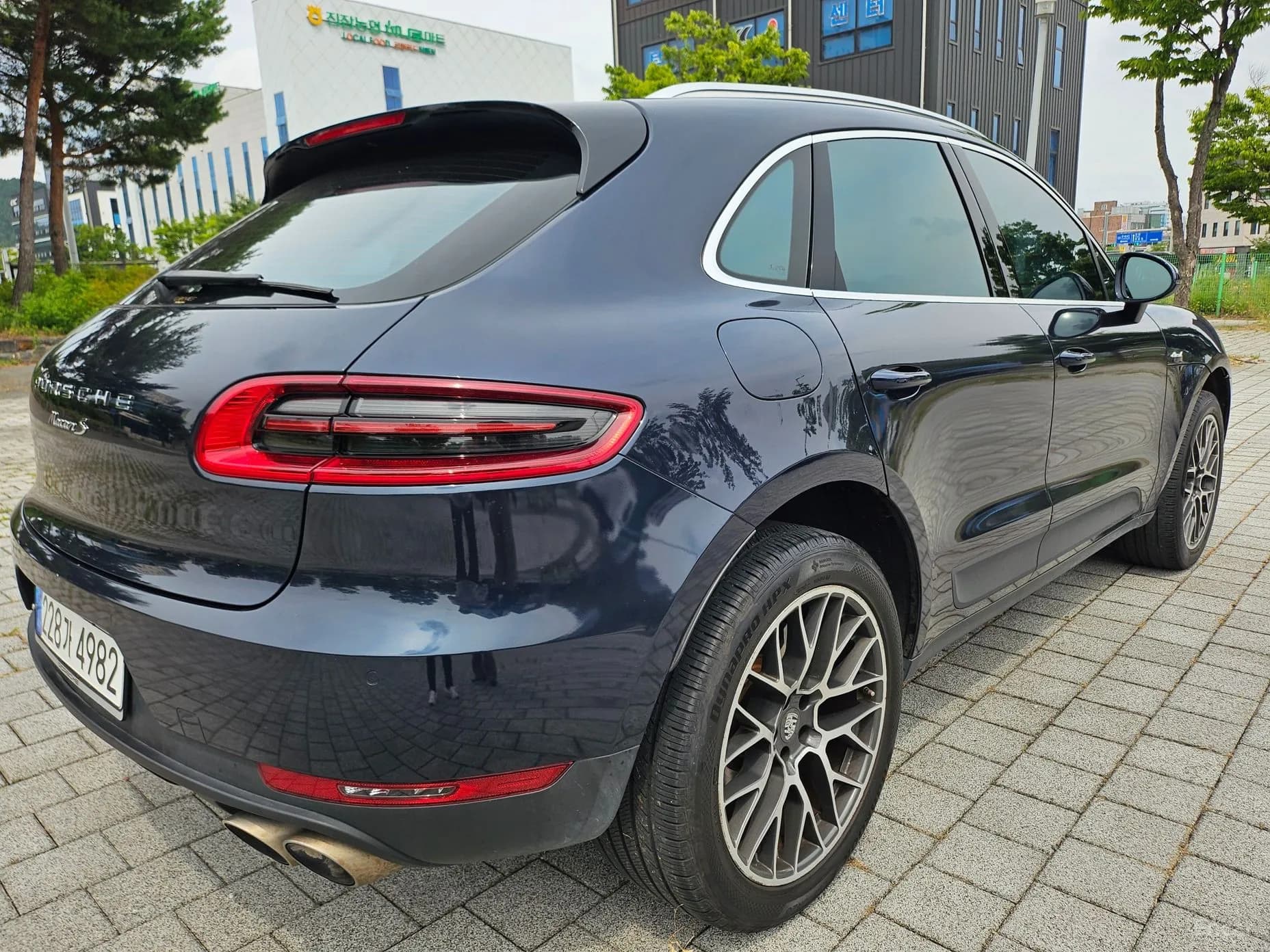 Macan