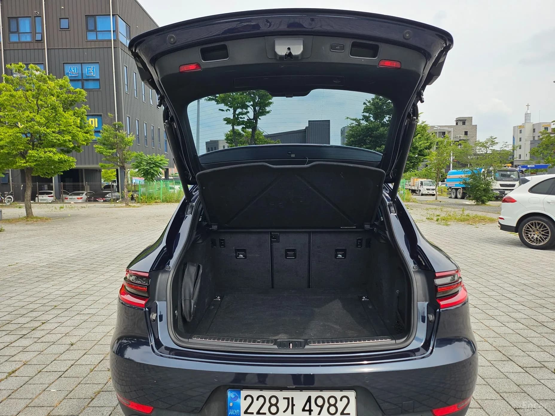 Macan