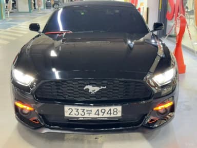 Mustang