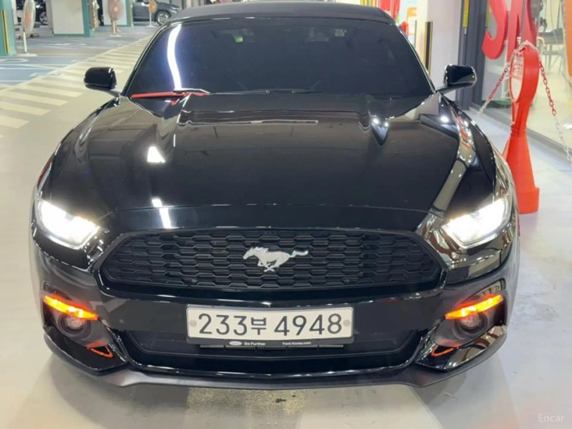 Mustang