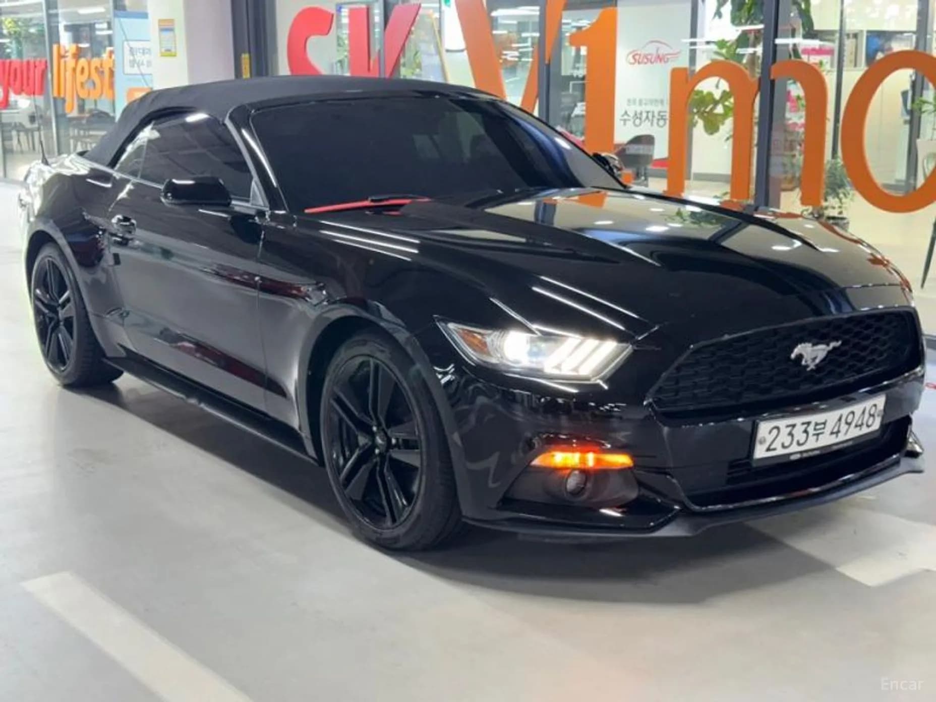 Mustang