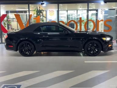 Mustang