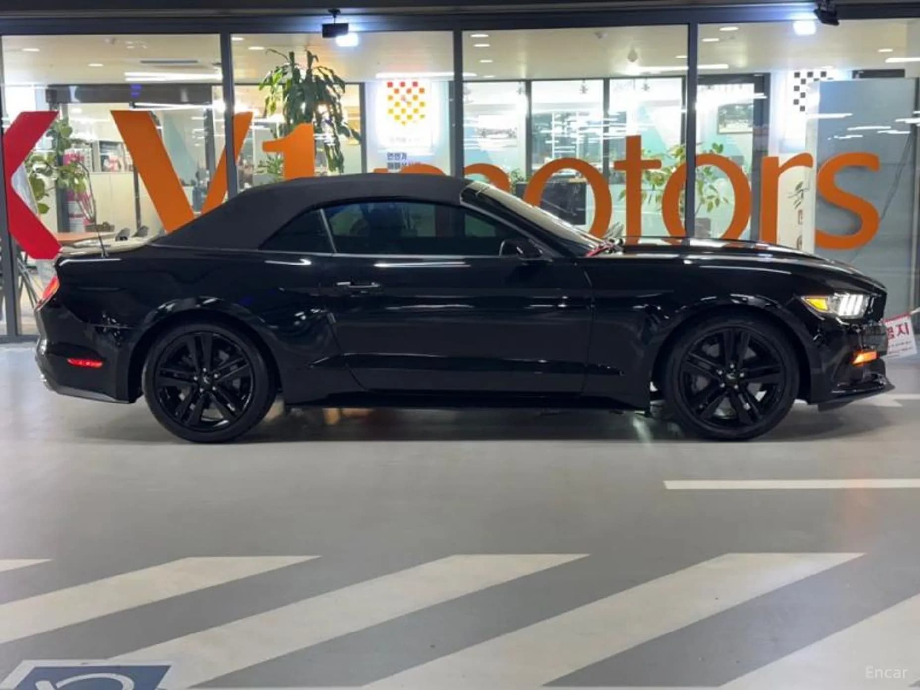 Mustang