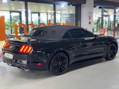 Mustang