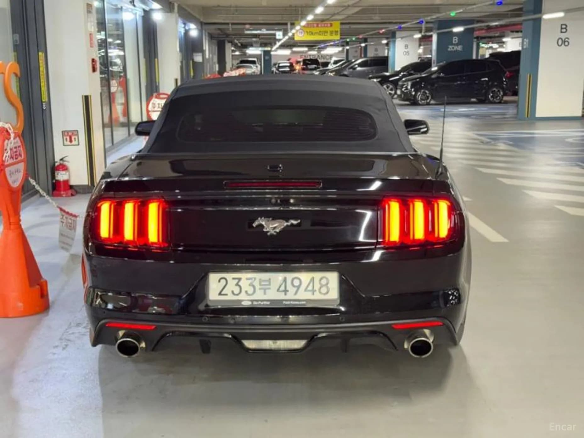 Mustang