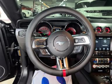 Mustang