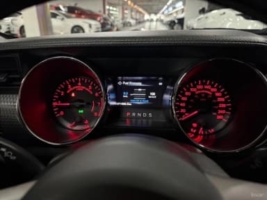 Mustang