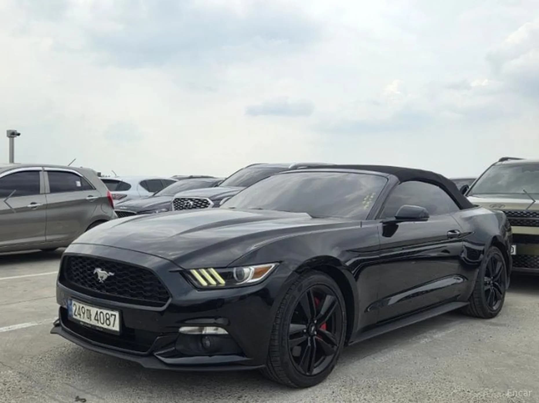 Mustang