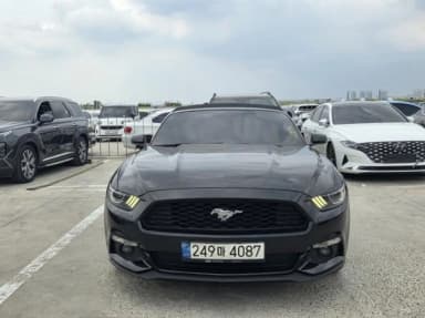 Mustang