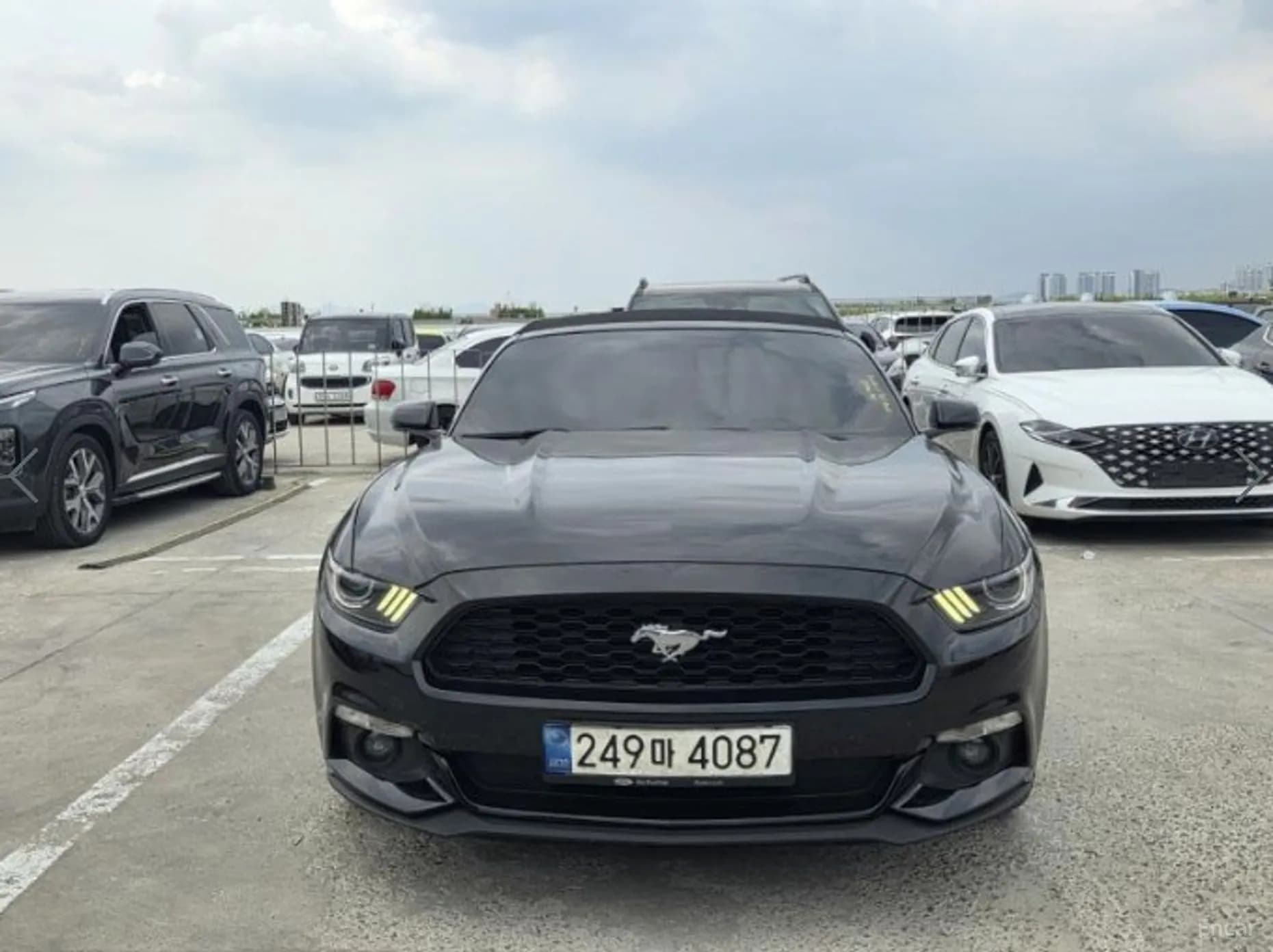 Mustang