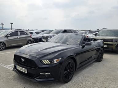 Mustang