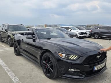 Mustang