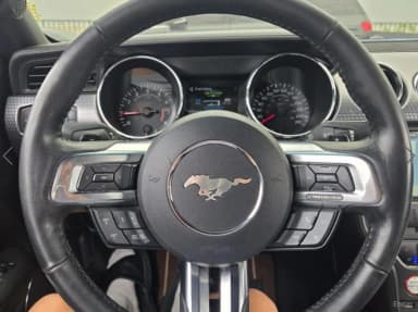 Mustang
