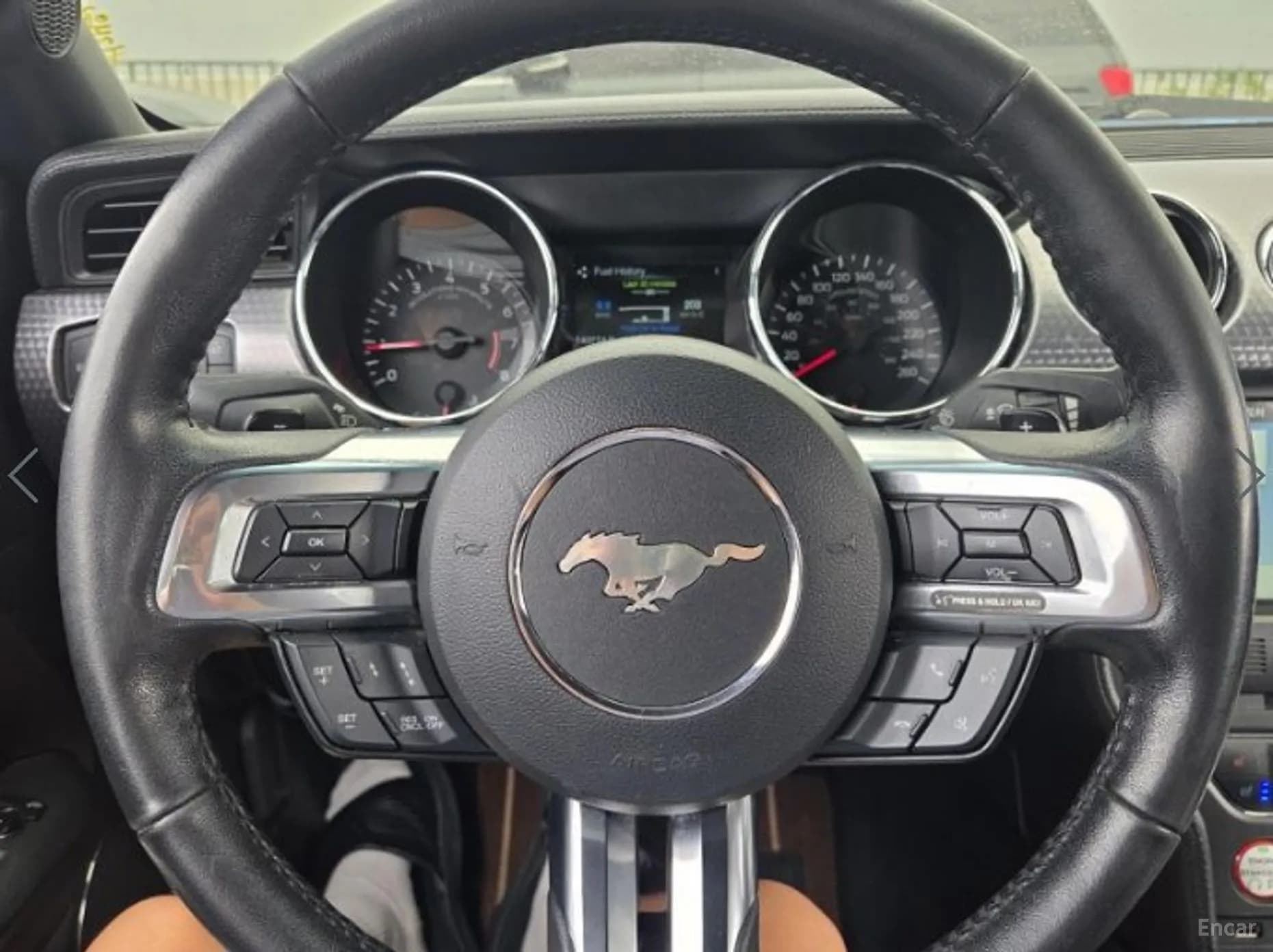 Mustang
