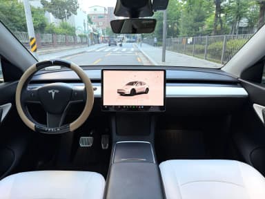 Model Y
