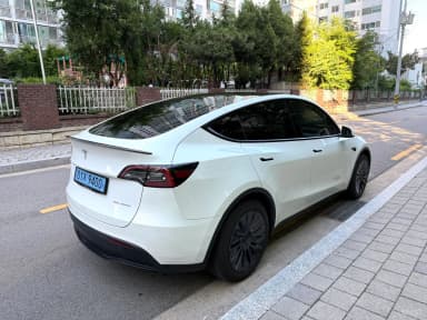 Model Y
