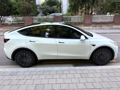 Model Y