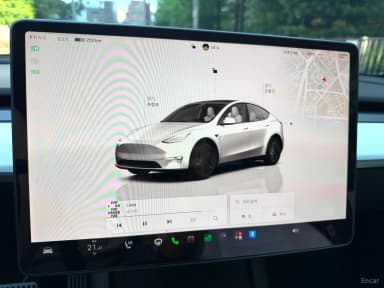 Model Y