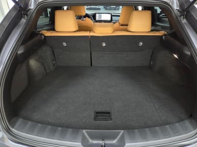 UX250h