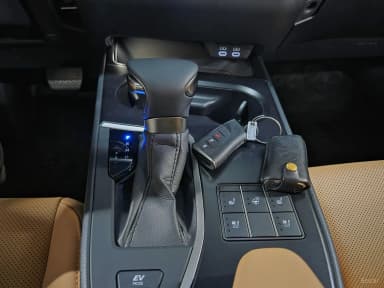 UX250h