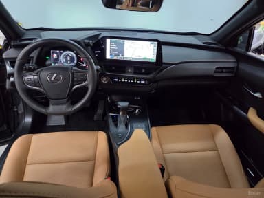 UX250h