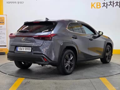 UX250h