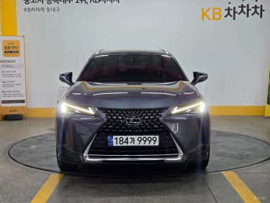UX250h