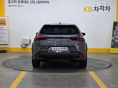 UX250h