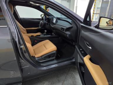 UX250h