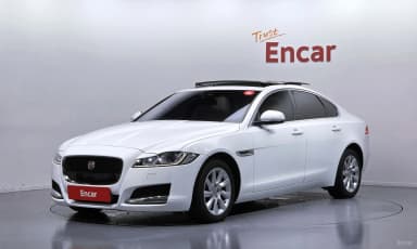 XF (x260)
