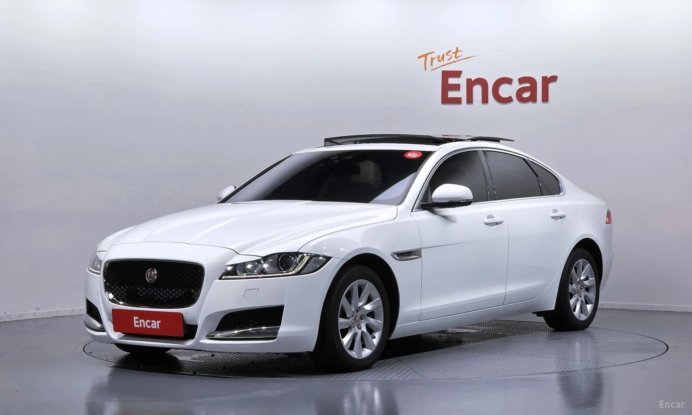 XF (x260)